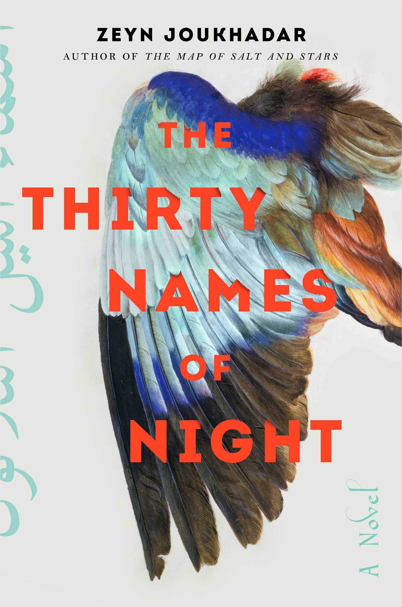 Zeyn Joukhadar - The Thirty Names of Night