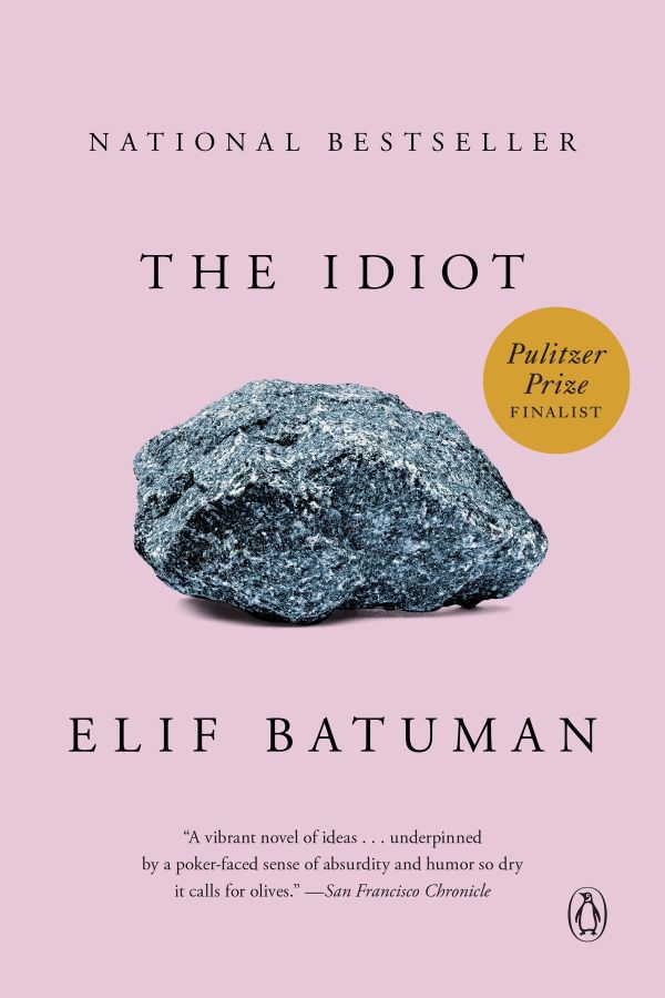 Elif Batuman - The Idiot