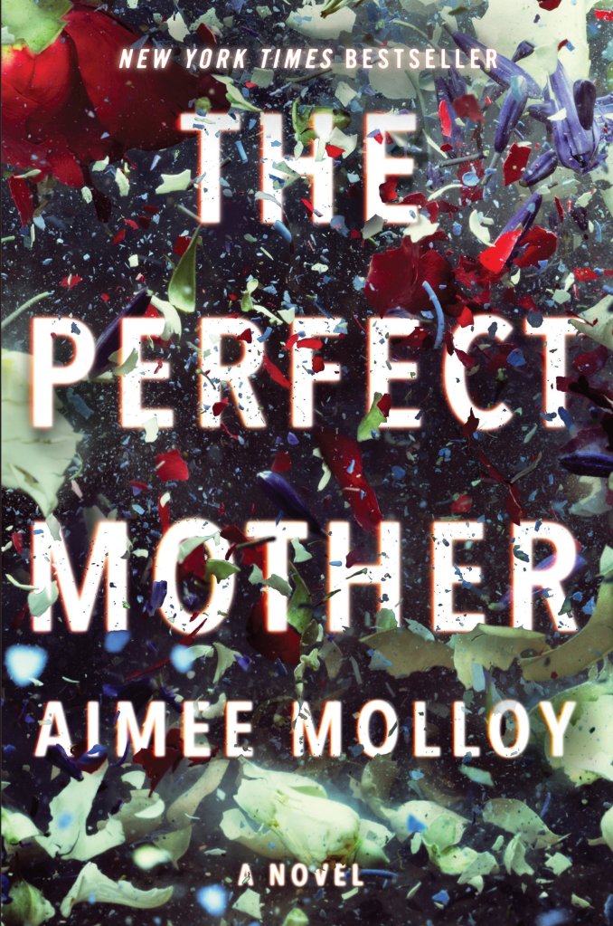 Aimee Molloy - The Perfect Mother