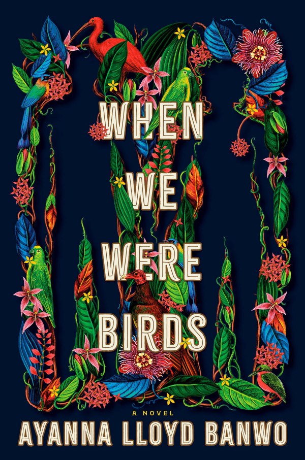 Ayanna Lloyd Banwo - When We Were Birds