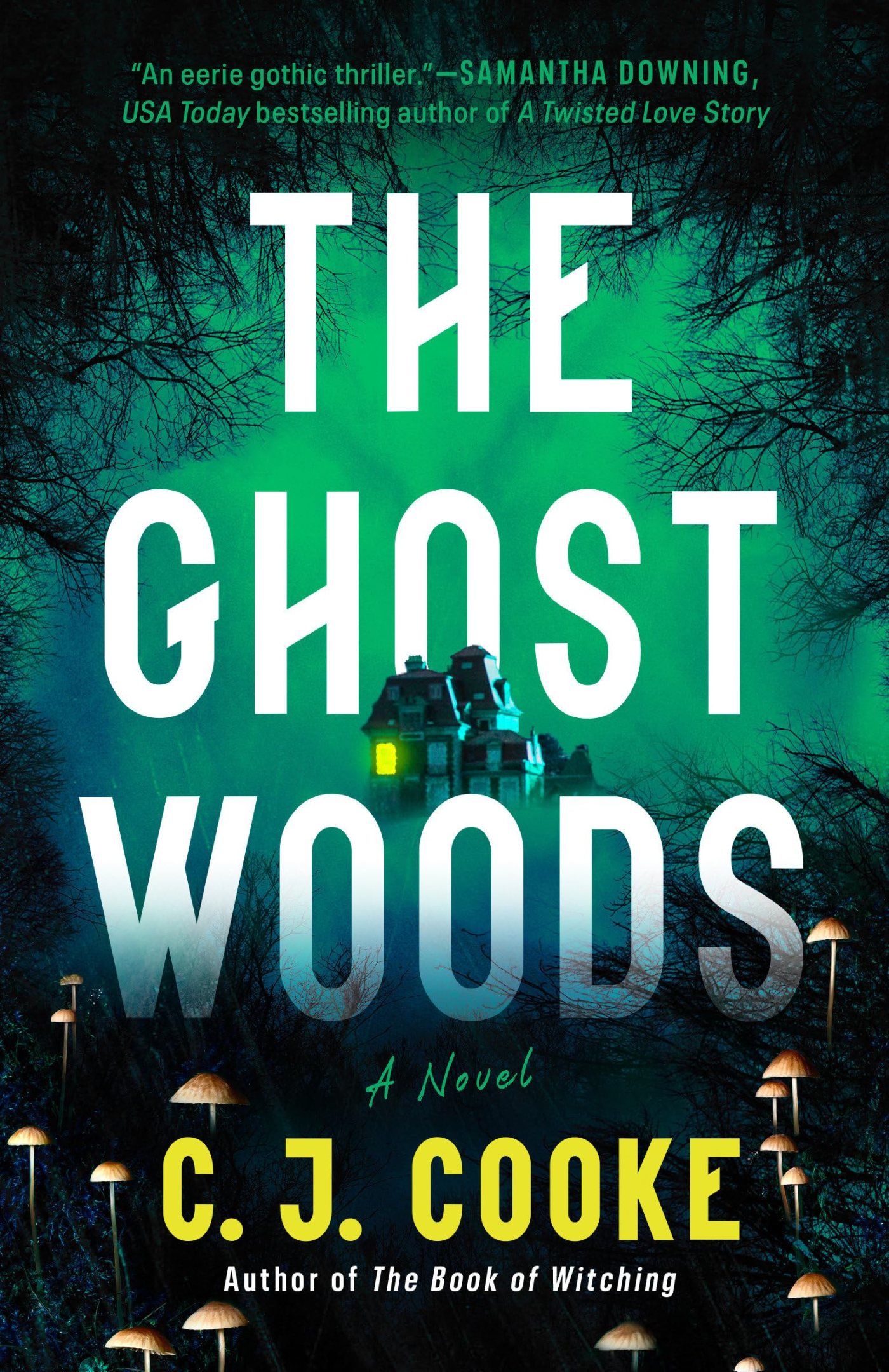 C. J. Cooke - The Ghost Woods