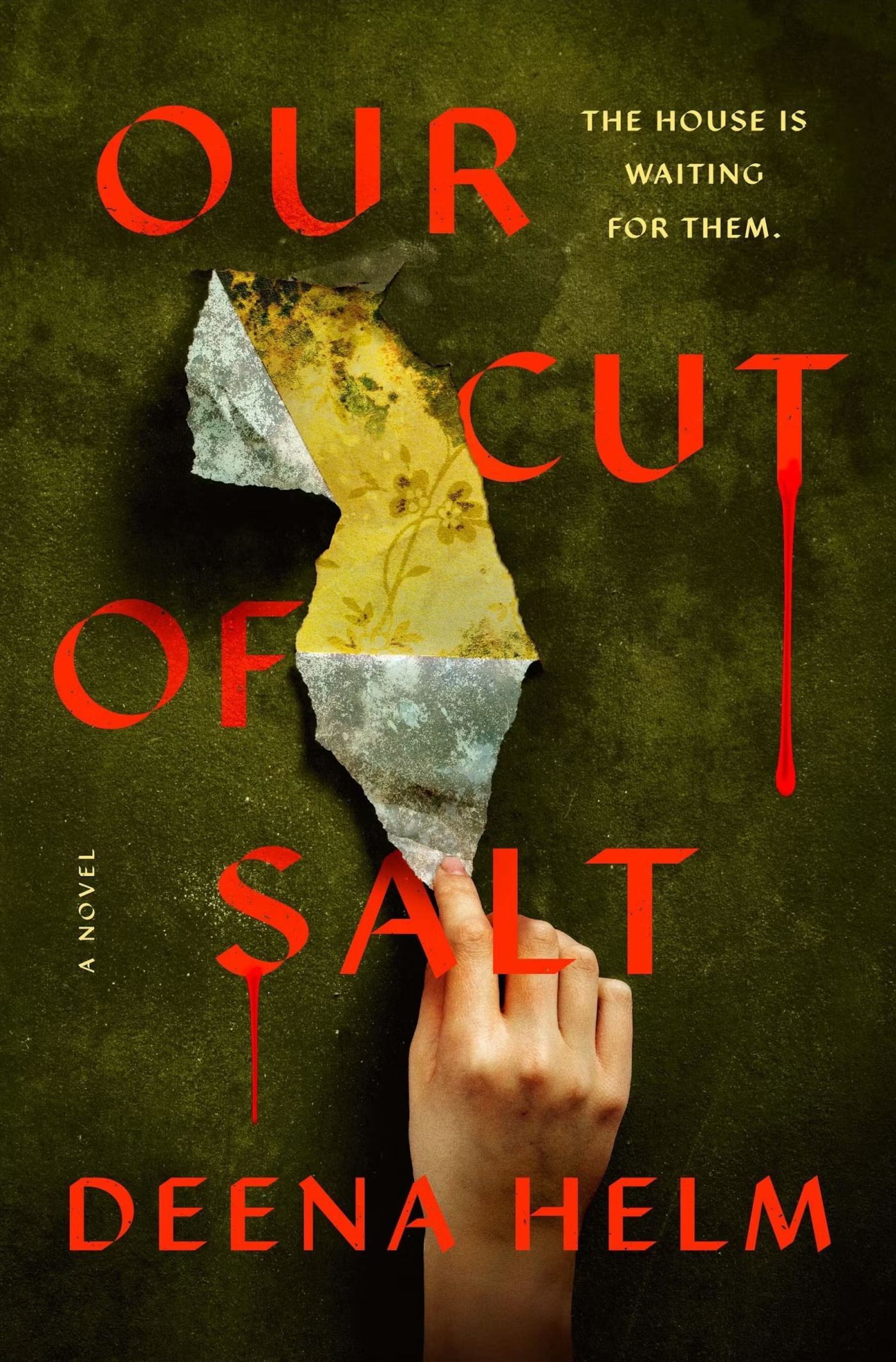 Deena Helm - Our Cut of Salt