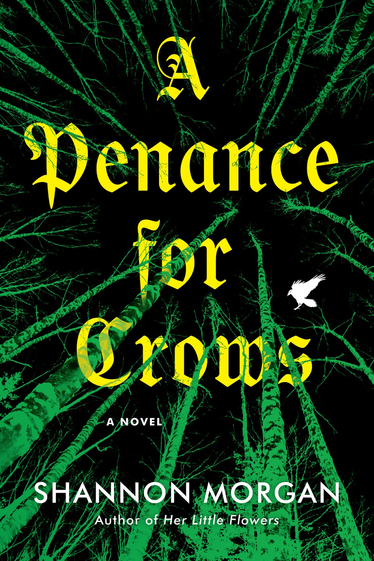 A Penance for&nbsp;Crows