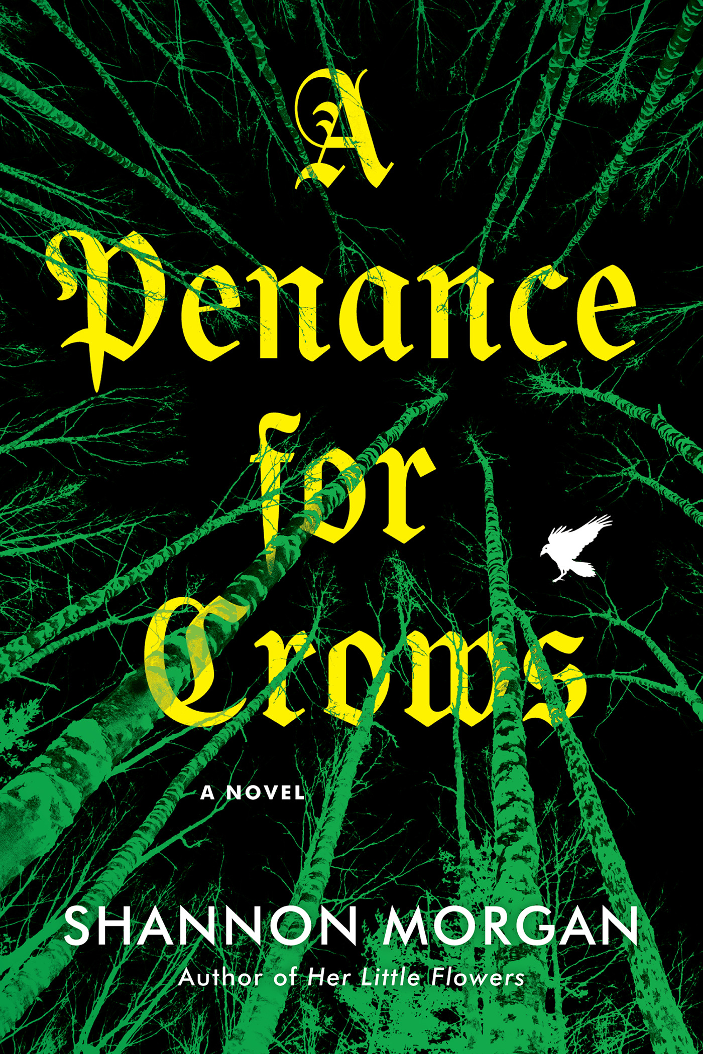 Shannon Morgan - A Penance for Crows